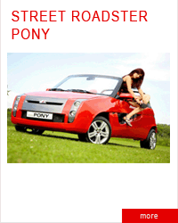 street roadster pony